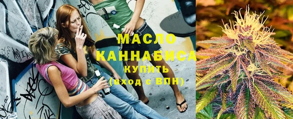 сатива Краснослободск