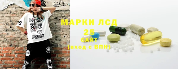 сатива Краснослободск