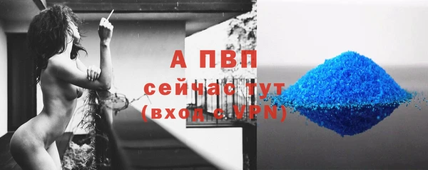 сатива Краснотурьинск