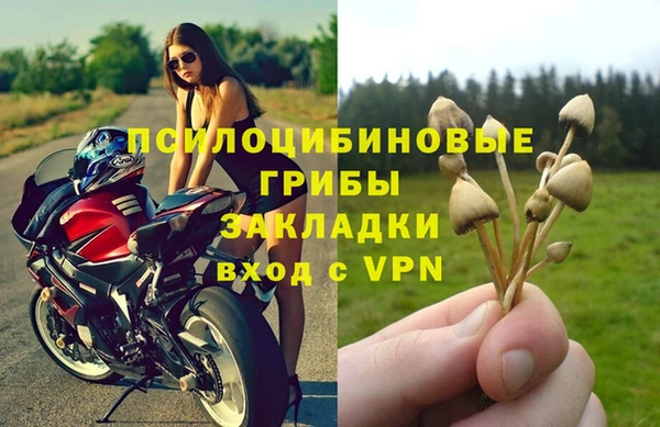 ALPHA PVP Ладушкин
