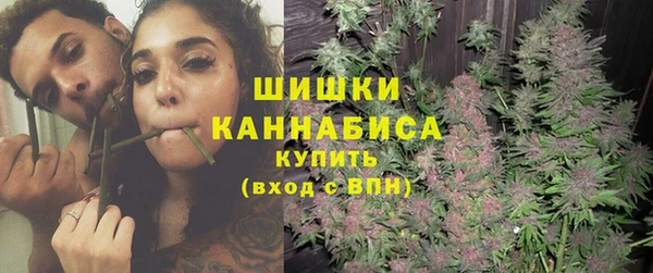 сатива Краснослободск