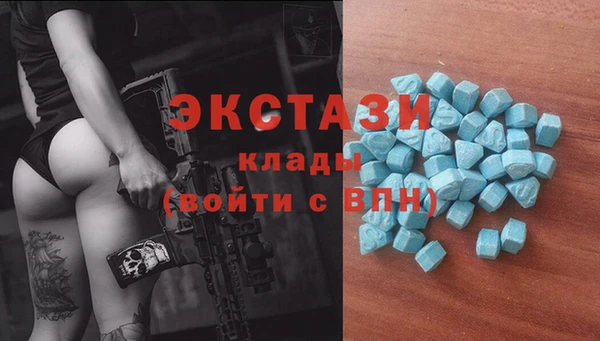 сатива Краснослободск