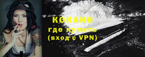 сатива Краснослободск